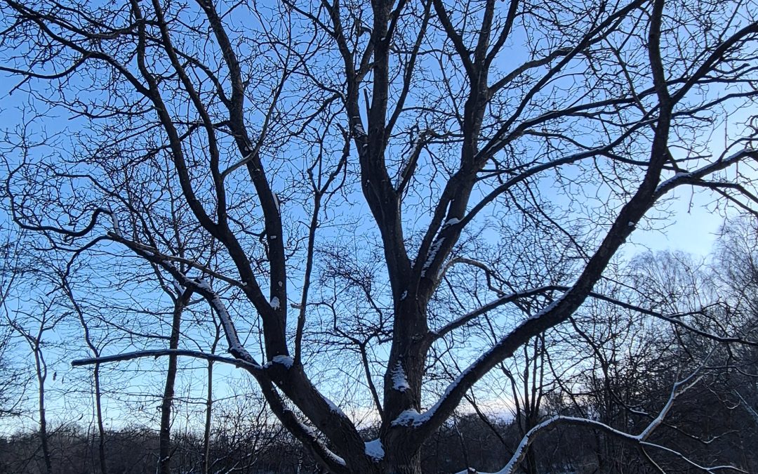 Test2