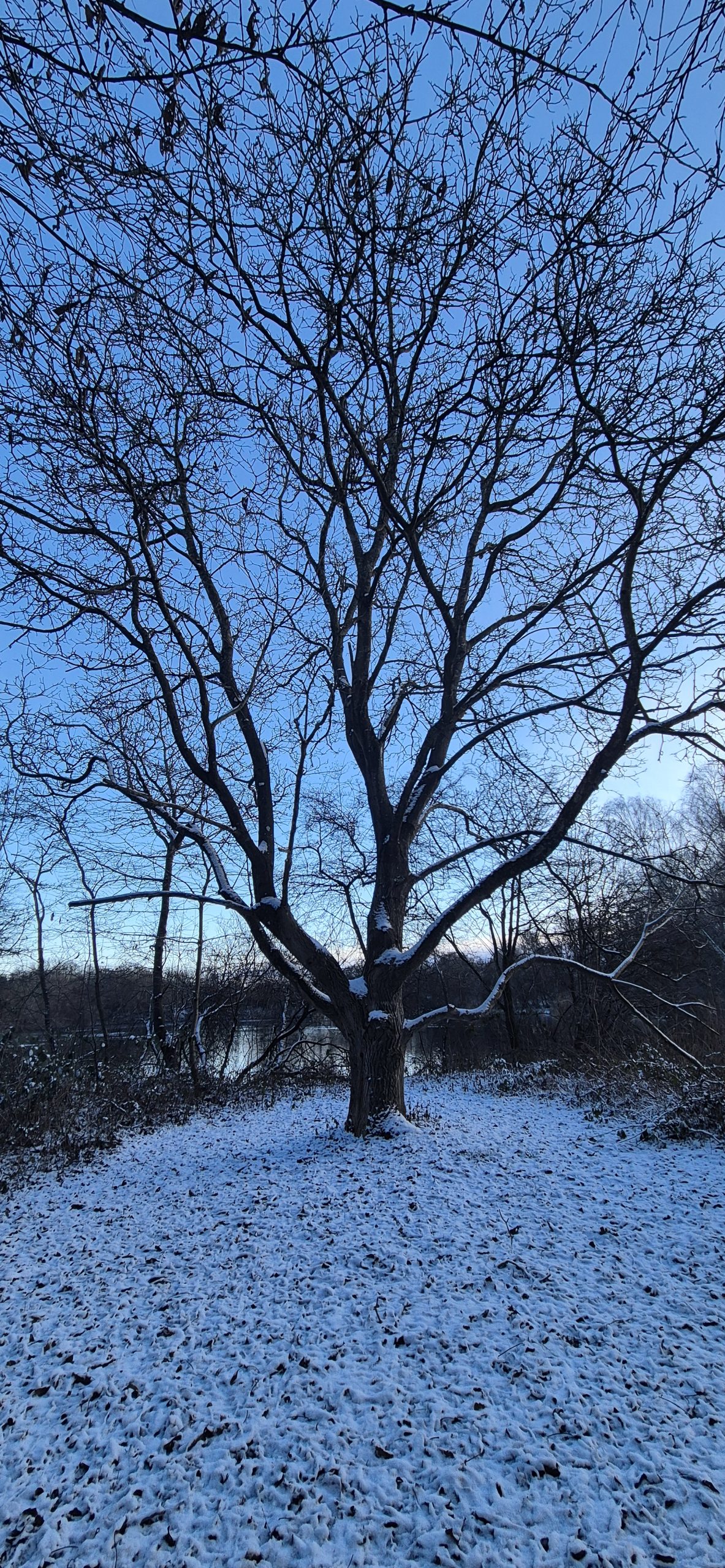 Test2